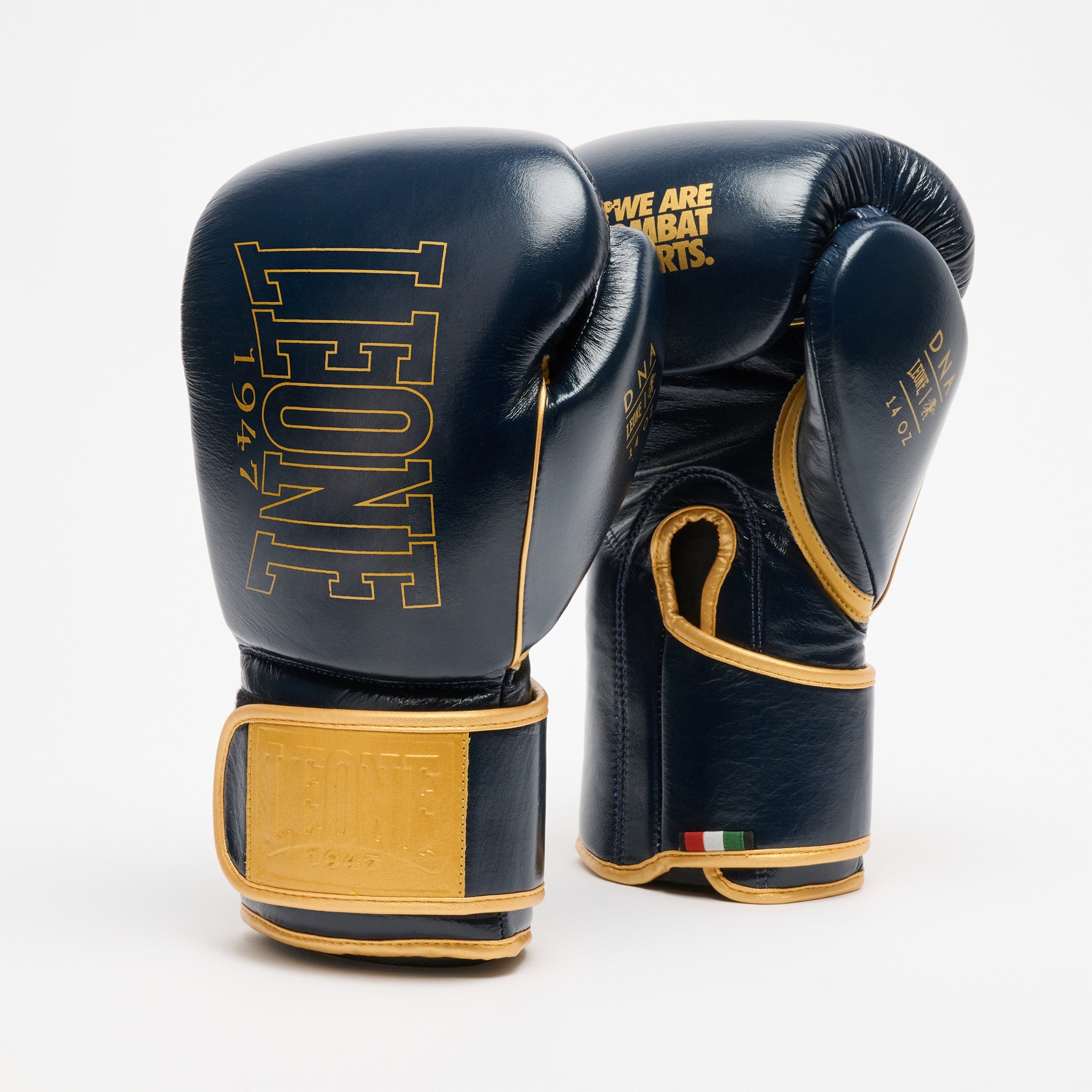 Guantes de Boxeo DNA PREMIUM azul 12Oz