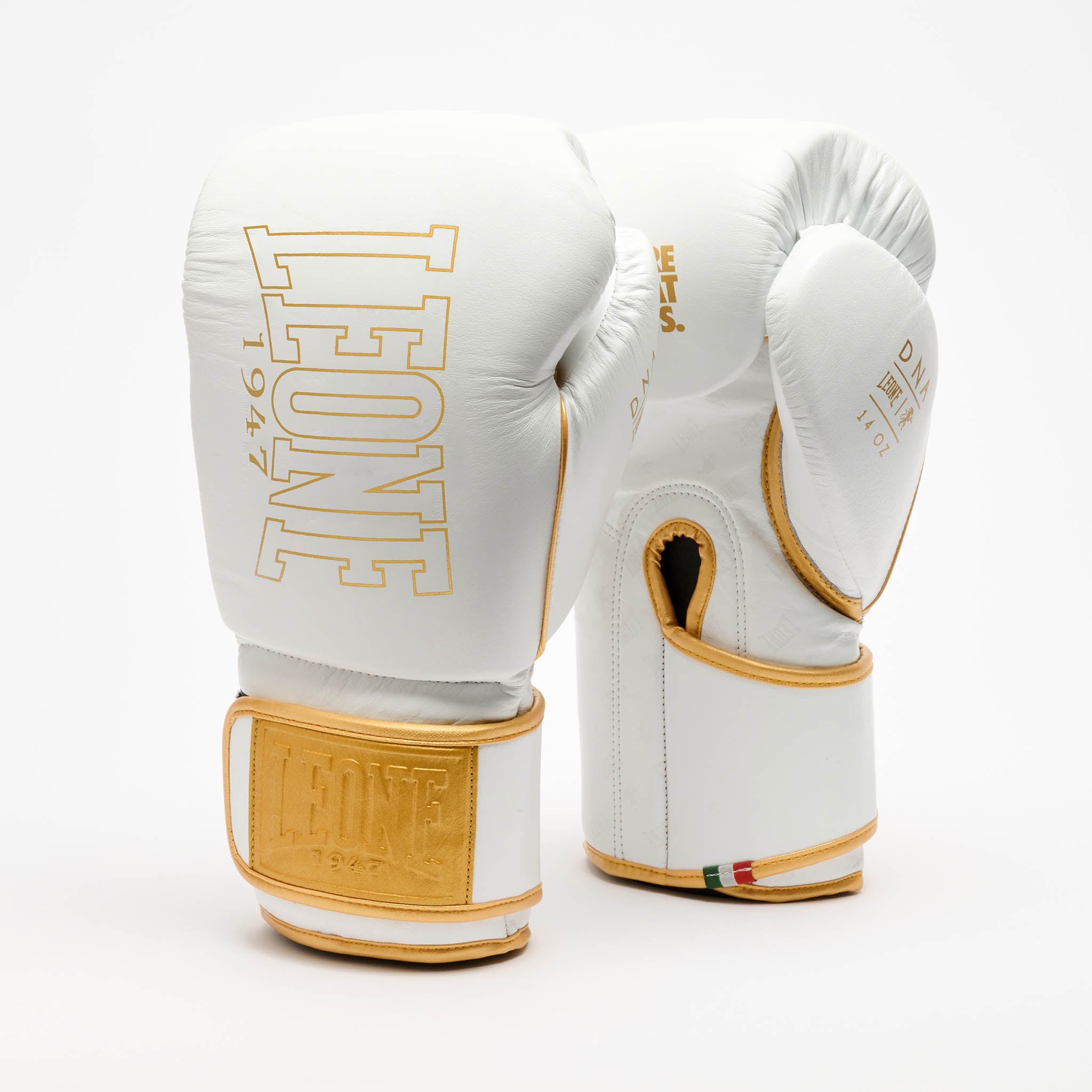 Guantes de Boxeo DNA PREMIUM gris