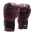 Guantes Boxeo ProSeries 45° Piel 2 FUJIMAE - FUJIMAE